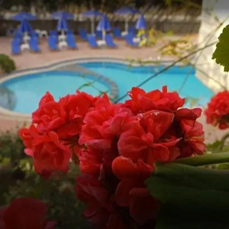 Lili Apartments,oasis 2,5 Km From Hania Center Apartmán
